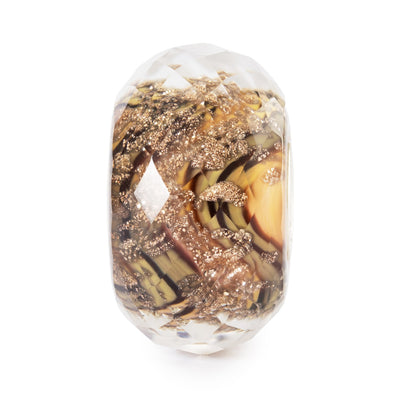 골든 어스 TGLBE-30181